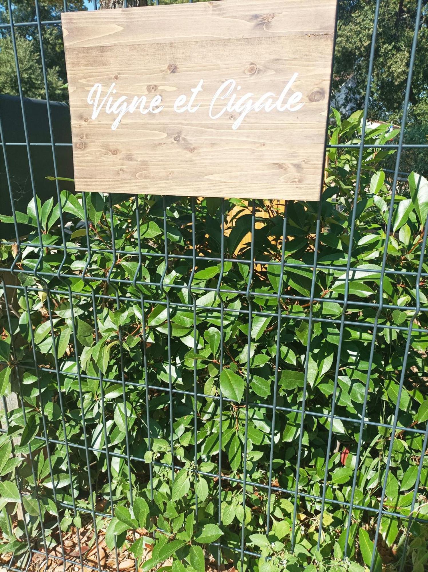 Apartmán Vigne Et Cigale Le Thoronet Exteriér fotografie
